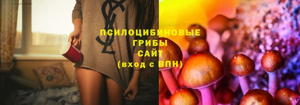 гидра Нефтегорск