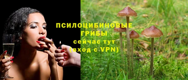 гидра Нефтегорск