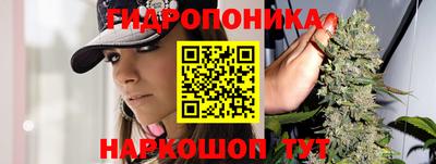 apvp Жуковский