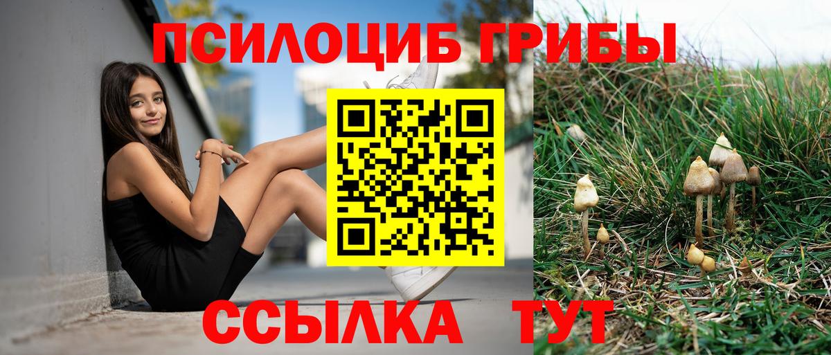 ТГК Россошь