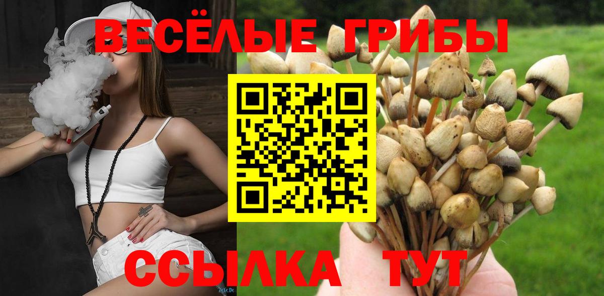 Россошь  Кетамин  APVP СК кристаллы  МЕФ кристаллы  МАРИХУАНА  Меф кристаллы  Cocaine  Гашиш  COCAIN 