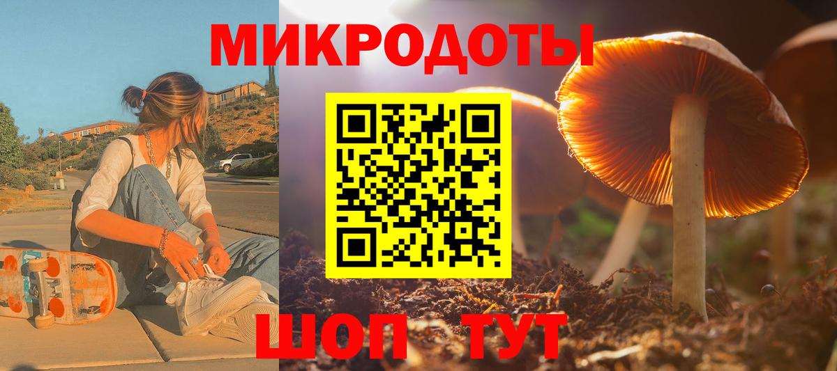 Галлюциногенные грибы Psilocybe Россошь