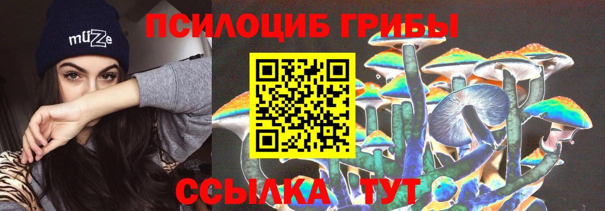 Россошь  Галлюциногенные грибы прущие грибы  закладки  Вход с VPN  Псилоцибиновые грибы GOLDEN TEACHER 