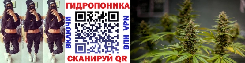 Бошки марихуана LSD WEED  Россошь 